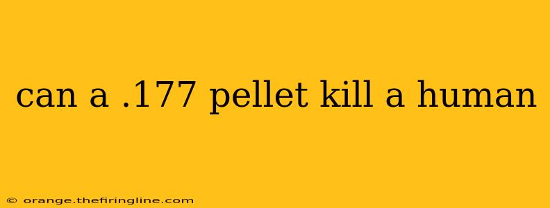 can a .177 pellet kill a human