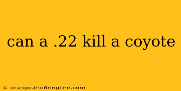 can a .22 kill a coyote