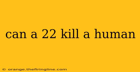 can a 22 kill a human