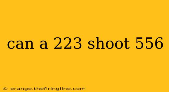 can a 223 shoot 556