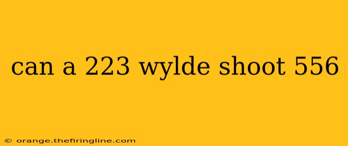 can a 223 wylde shoot 556