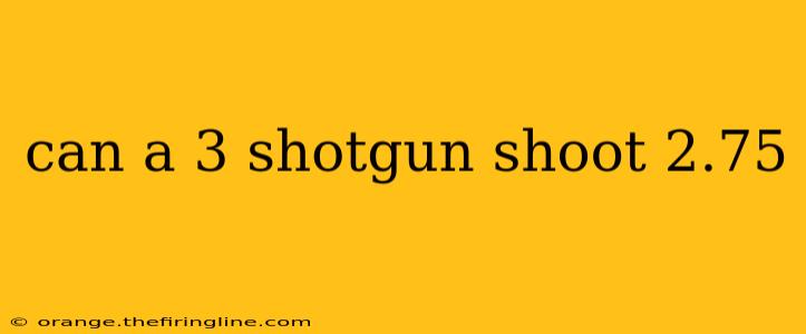 can a 3 shotgun shoot 2.75