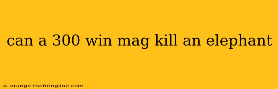 can a 300 win mag kill an elephant