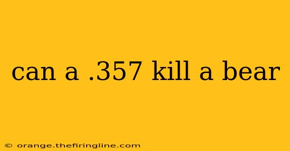 can a .357 kill a bear