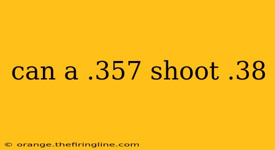 can a .357 shoot .38