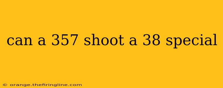 can a 357 shoot a 38 special