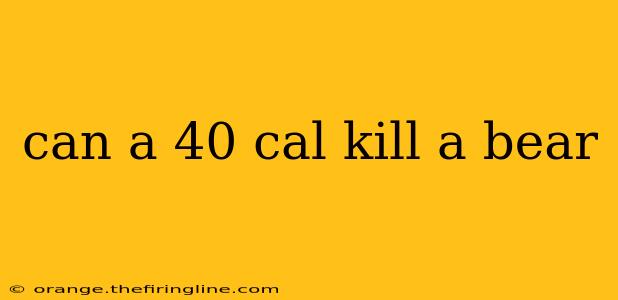 can a 40 cal kill a bear