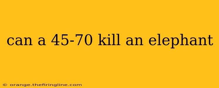 can a 45-70 kill an elephant