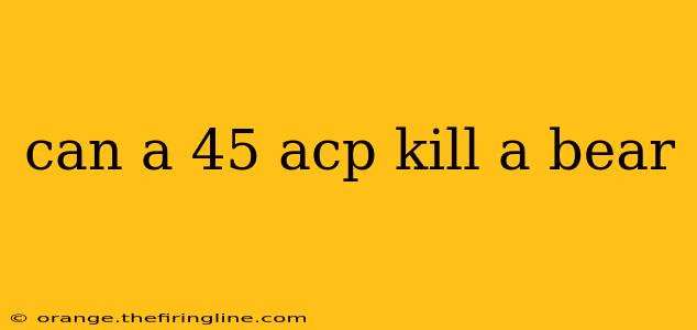 can a 45 acp kill a bear