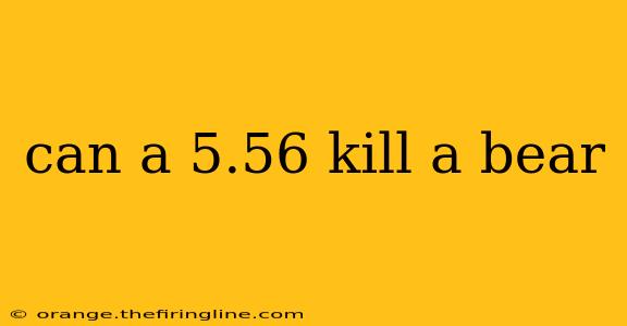 can a 5.56 kill a bear