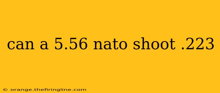 can a 5.56 nato shoot .223