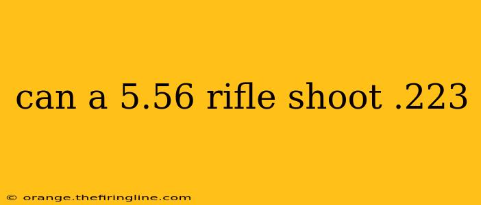 can a 5.56 rifle shoot .223