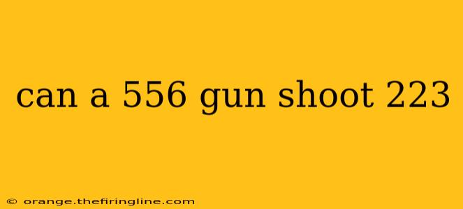 can a 556 gun shoot 223