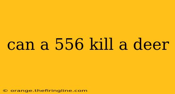 can a 556 kill a deer