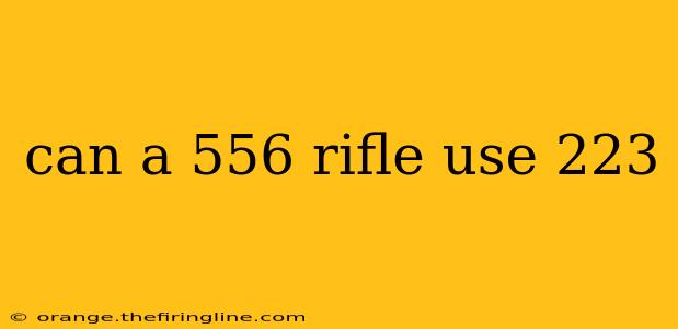 can a 556 rifle use 223