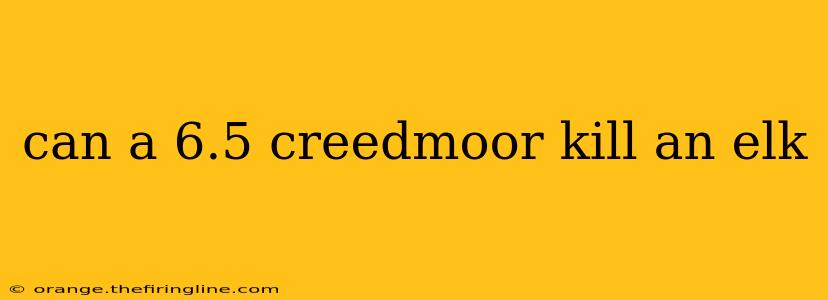 can a 6.5 creedmoor kill an elk