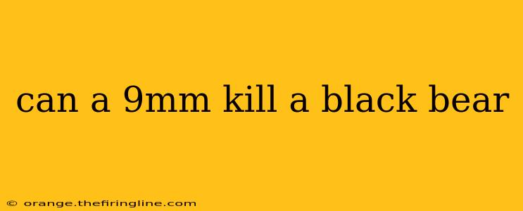 can a 9mm kill a black bear