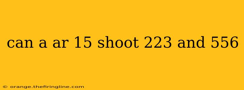 can a ar 15 shoot 223 and 556