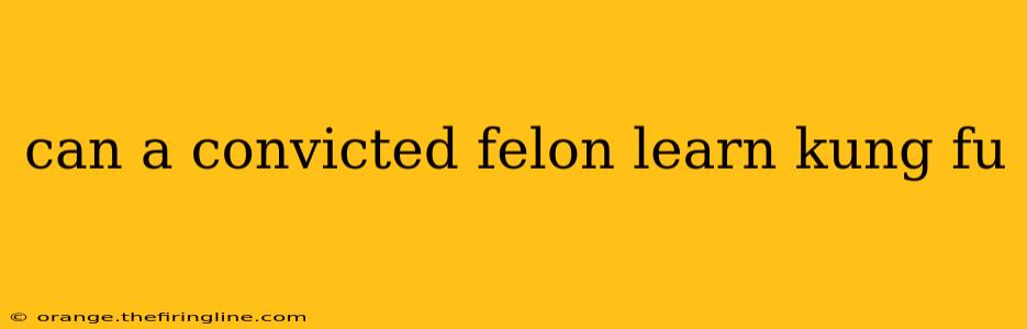 can a convicted felon learn kung fu