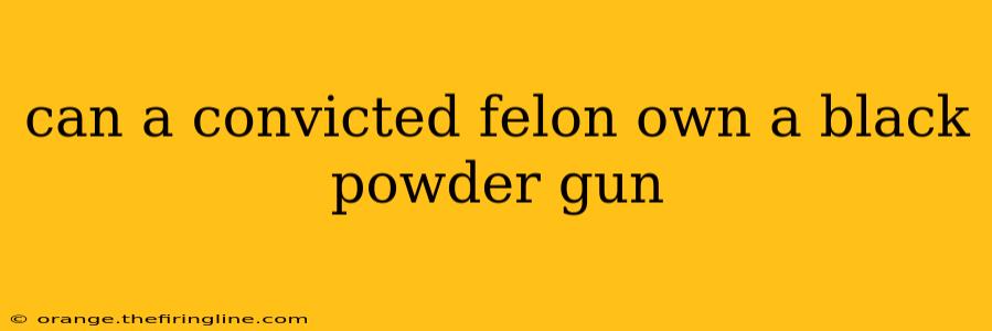 can a convicted felon own a black powder gun