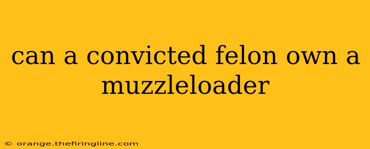 can a convicted felon own a muzzleloader