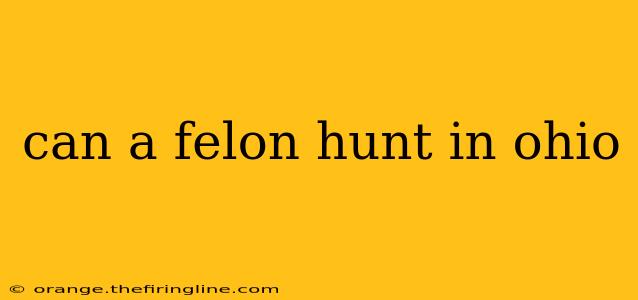 can a felon hunt in ohio