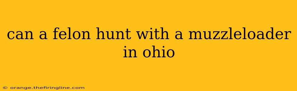 can a felon hunt with a muzzleloader in ohio