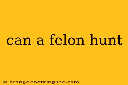 can a felon hunt