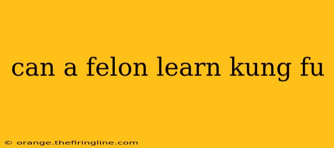 can a felon learn kung fu