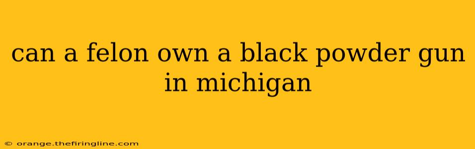 can a felon own a black powder gun in michigan