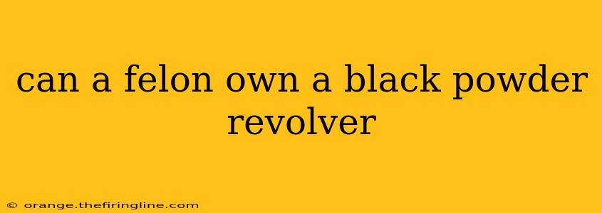 can a felon own a black powder revolver