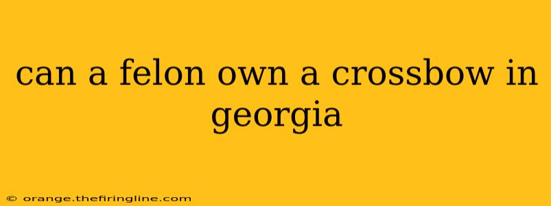 can a felon own a crossbow in georgia