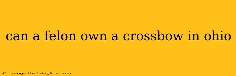 can a felon own a crossbow in ohio