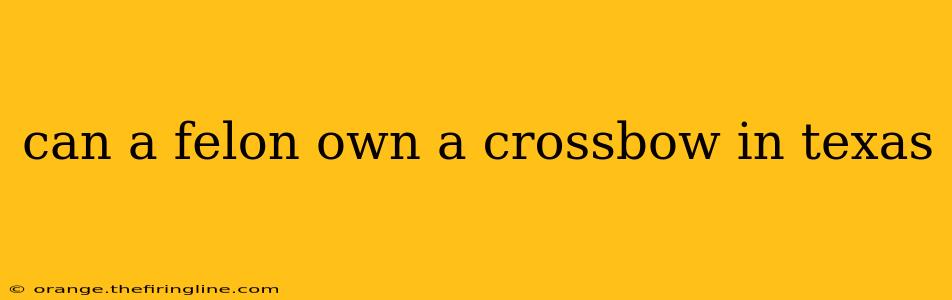 can a felon own a crossbow in texas