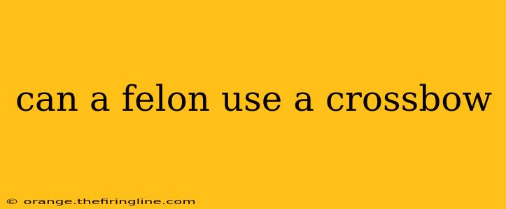 can a felon use a crossbow