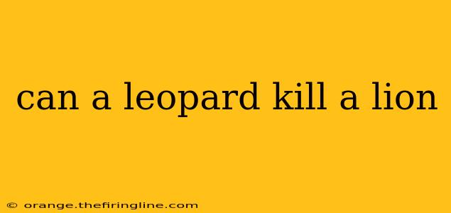 can a leopard kill a lion