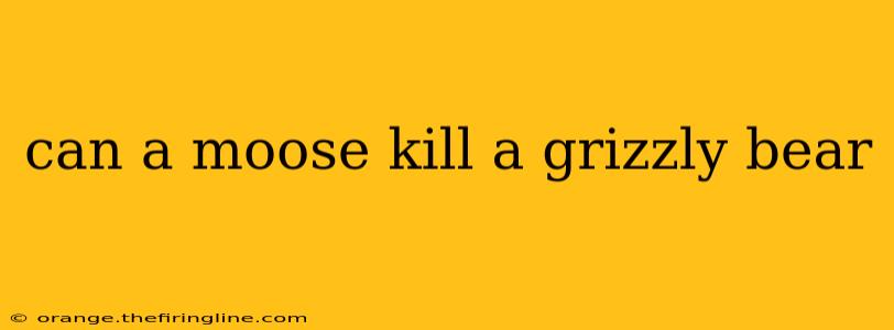 can a moose kill a grizzly bear