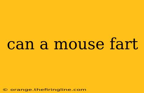 can a mouse fart