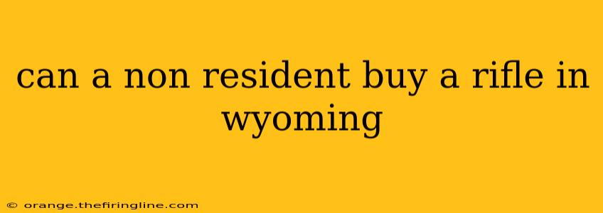 can a non resident buy a rifle in wyoming