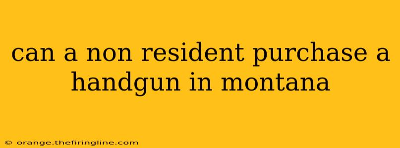 can a non resident purchase a handgun in montana