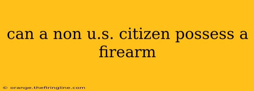 can a non u.s. citizen possess a firearm