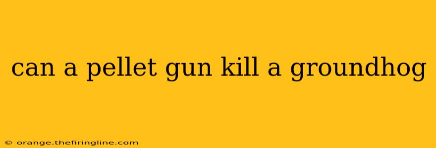 can a pellet gun kill a groundhog