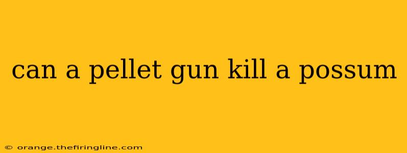 can a pellet gun kill a possum