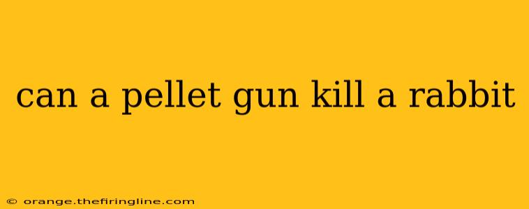 can a pellet gun kill a rabbit