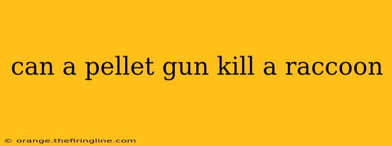 can a pellet gun kill a raccoon