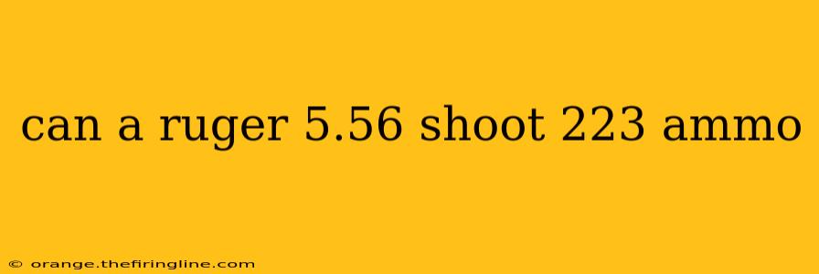 can a ruger 5.56 shoot 223 ammo