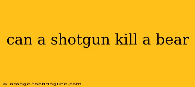 can a shotgun kill a bear