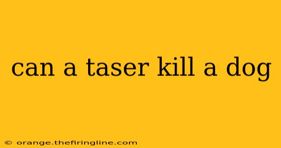 can a taser kill a dog