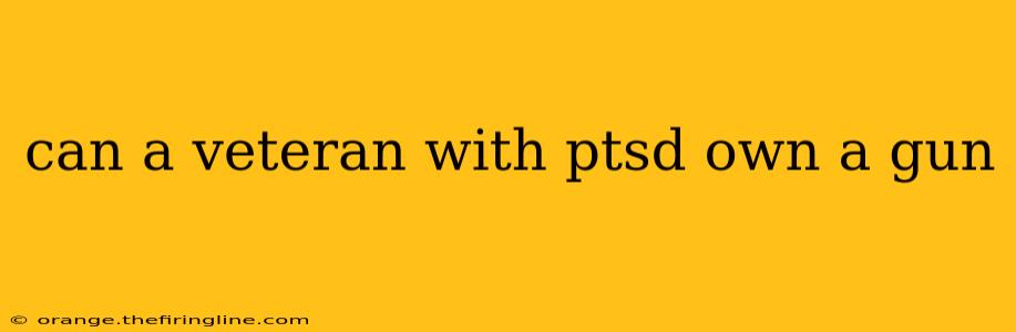 can a veteran with ptsd own a gun