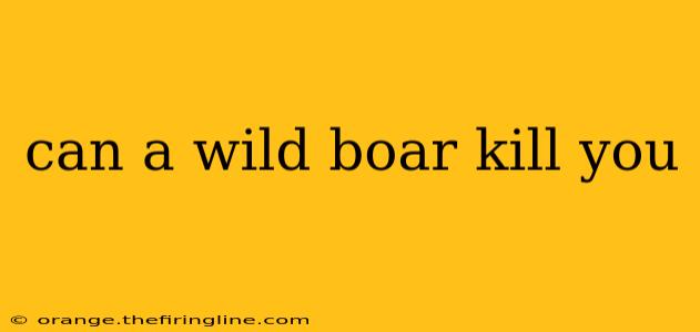 can a wild boar kill you